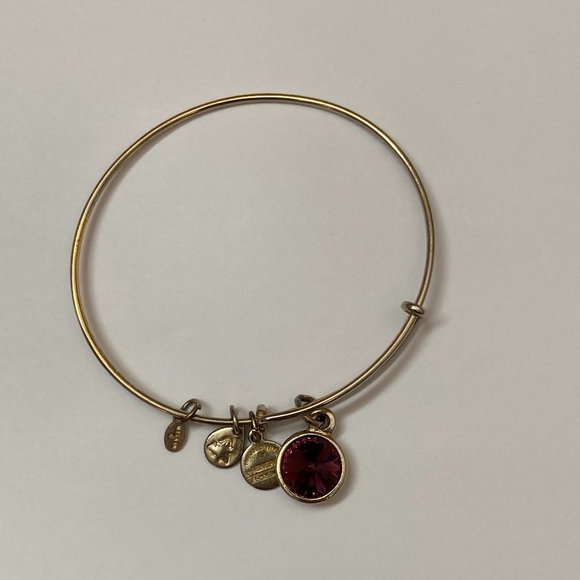 Alex and Ani February Birthday Bracelet - Picture 1 of 4